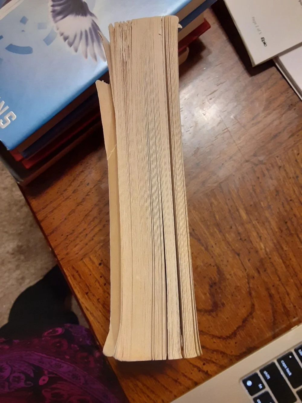Kite Runner Paperback Book